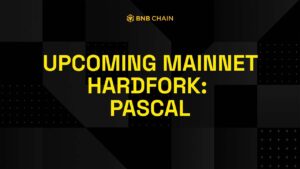 BNB Chain Siap Hadirkan Hardfork Pascal, Apa yang Baru?