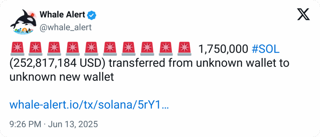 Whale Alert Solana
