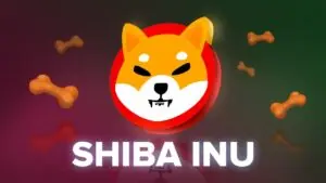 Harga Shiba Inu Terkoreksi Meski Angka Burn Melonjak Tajam: Apa yang Terjadi?